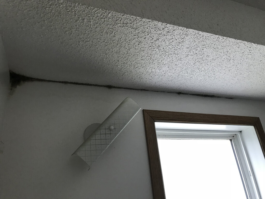 Image of issues such as moisture problems, comfort issues, inefficiencies, or premature wear of building components. Photo credit Alison Conroy