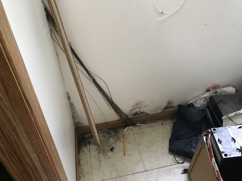 Image of issues such as moisture problems, comfort issues, inefficiencies, or premature wear of building components. Photo credit Alison Conroy