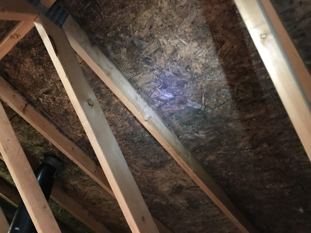 Image of issues such as moisture problems, comfort issues, inefficiencies, or premature wear of building components. Photo credit Alison Conroy