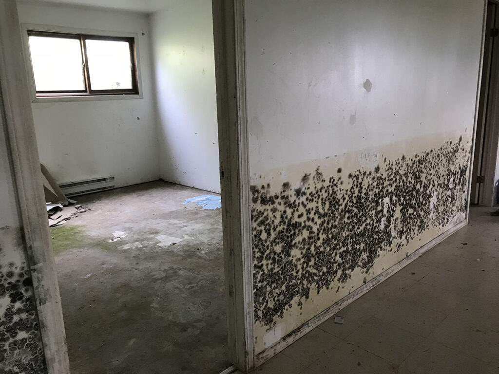 Image of issues such as moisture problems, comfort issues, inefficiencies, or premature wear of building components. Photo credit Alison Conroy